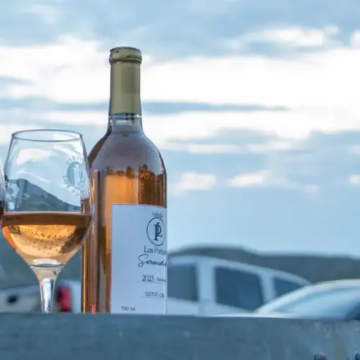 Serenidad Vino Blanco