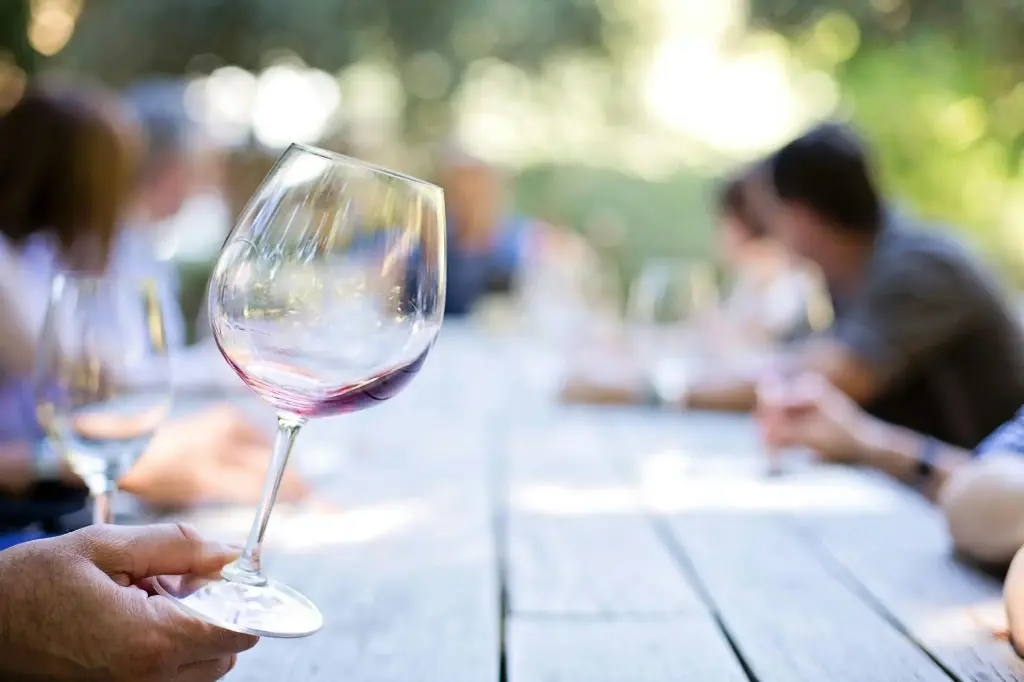 Introducción al Mundo del Vino
