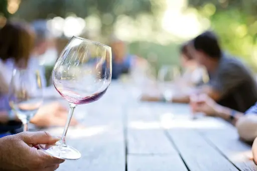 Introducción al Mundo del Vino